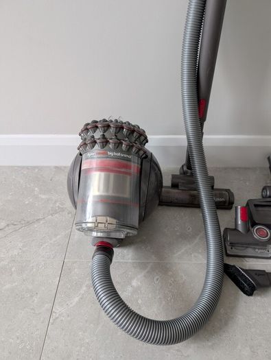 Dyson Big Ball Animal