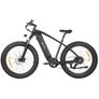 DYU King 750 Mountain E-Bike Image 2
