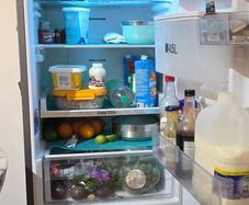 Samsung fridge