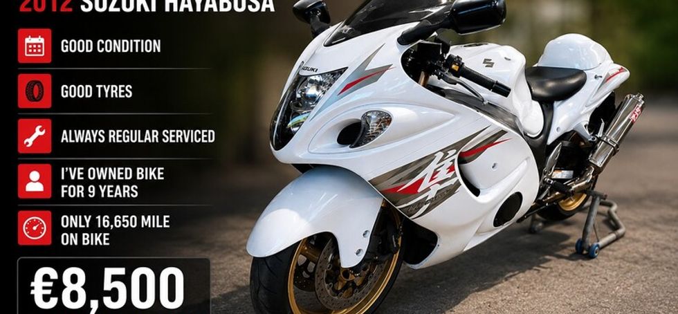 2012 Suzuki Cycle