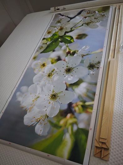 Bjorksta Apple Blossom Floral Canvas Art + Frame 140x60cm Horizontal/Vertical