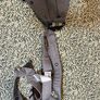 Baby Bjorn baby carrier mini Image 2