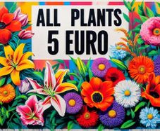 All Plants 5 Euro including rare varieties