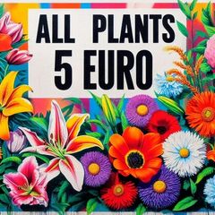 All Plants 5 Euro including rare varieties