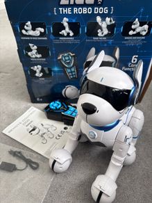 Ziggy the Robo dog