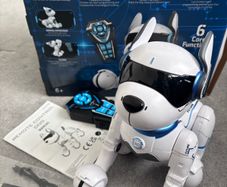 Ziggy the Robo dog