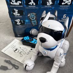 Ziggy the Robo dog
