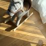 Mamas & Papas Rocking Horse Image 3