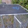 dog run Image 5
