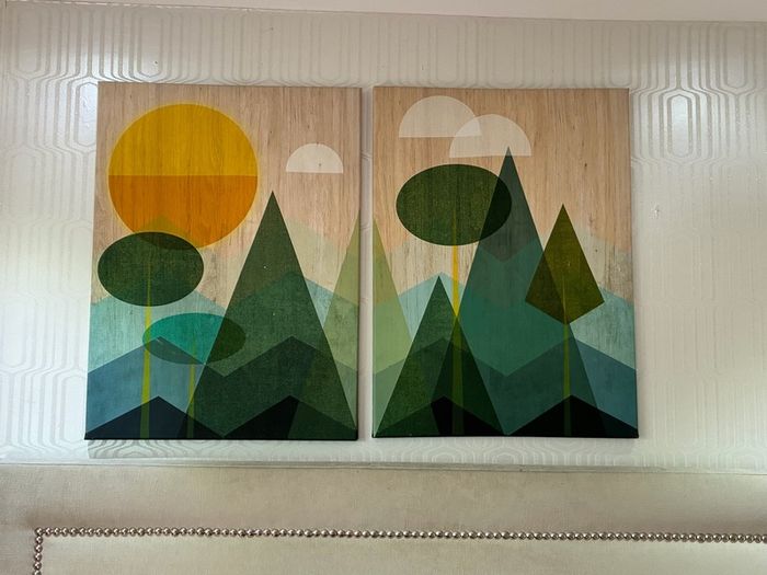 Stunning two piece canvas picture
