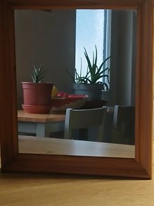 Vintage Mirror