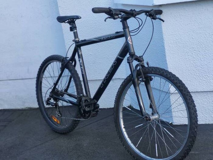 Trek 3900 Adults Bike