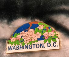 Washington D.C. Cherry Blossom Souvenir Pin