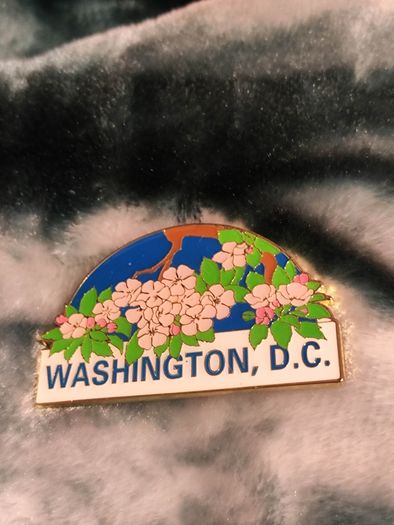 Washington D.C. Cherry Blossom Souvenir Pin
