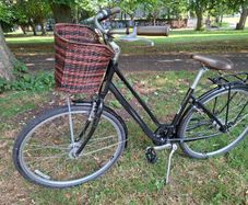 Liv Flourish 1 city bike by Giant - Medium