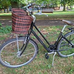 Liv Flourish 1 city bike by Giant - Medium