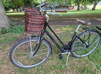 Liv Flourish 1 city bike by Giant - Medium