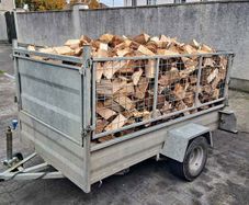 Firewood Ash, Elm, Spruce
