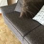 Suite of furniture Image 3