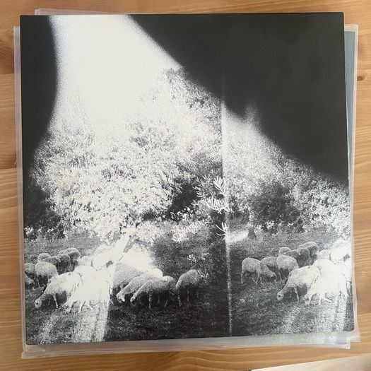 Godspeed You! Black Emperor -  Asunder, Sweet And Other Distress