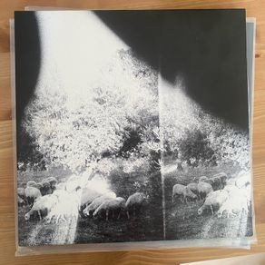 Godspeed You! Black Emperor -  Asunder, Sweet And Other Distress