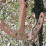 Section of Pierce No:3 Plough Part Image 2