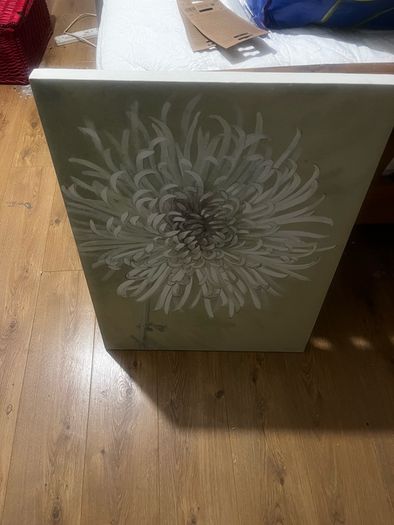 Beautiful Canvas Frames