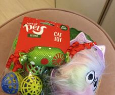 Christmas cat hamper of toys