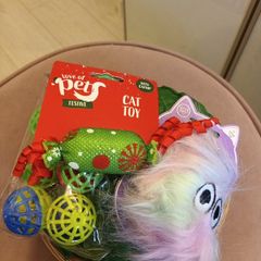 Christmas cat hamper of toys
