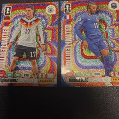 FIFA WC cards including nice limited editions