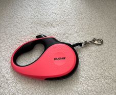 Retractable Dog lead.