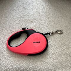 Retractable Dog lead.