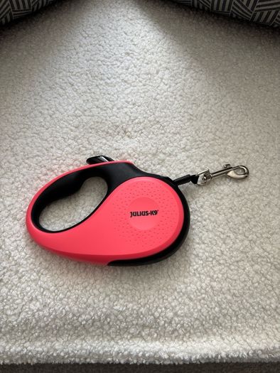 Retractable Dog lead.