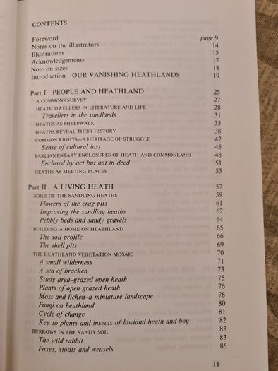 In Search Of Heathland By  Lee Chadwick.