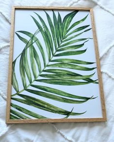 Framed botanical art size A3