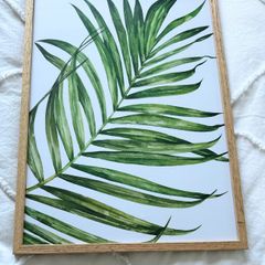 Framed botanical art size A3