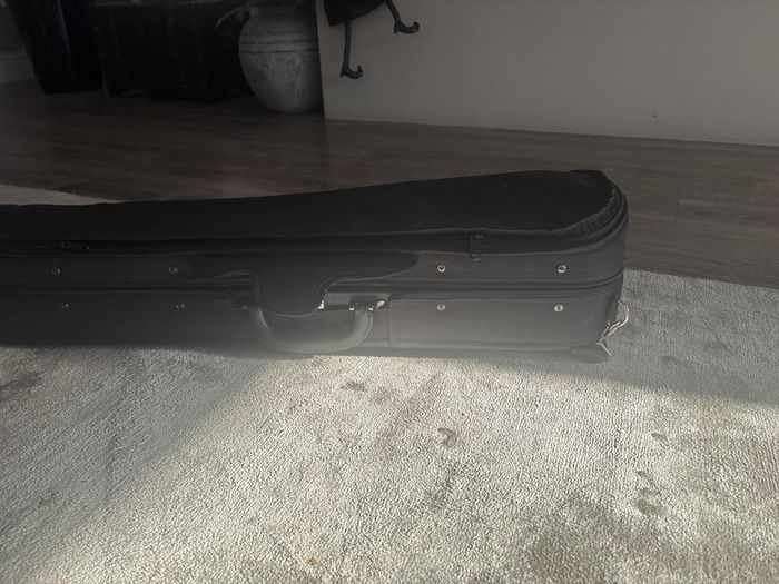 Violin