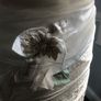Brand new Rembo designs ivory and champagne wedding dress Image 4