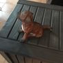 Figurine Dog.  Country Artists Staffordshire Bull terroir. Hand crafted and painted. Enesco Ltd. Image 3