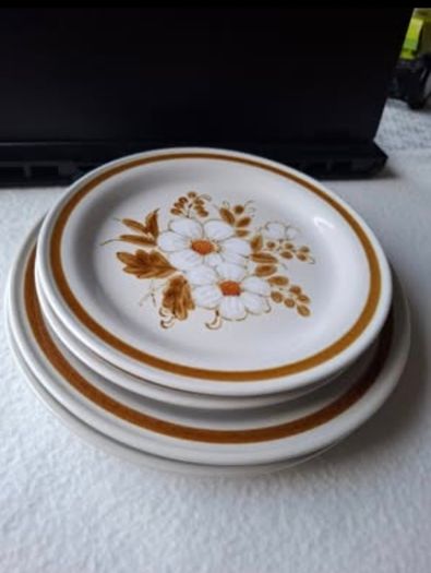 Vintage Mountain Wood Collection Stoneware Plates Set of 4 Japan