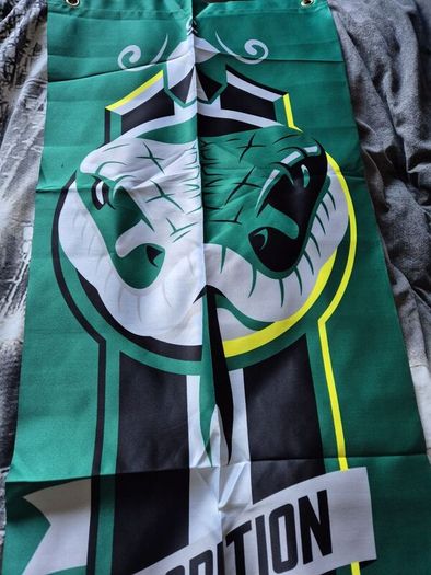 Slytherin Banner and Bag