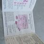 Pamphlet 2 Leaflet HTF Collector Sheet for Birthflower Ponies US version 1984 MLP G1 My Little Pony Image 3
