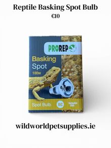 Reptile Heat Bulb