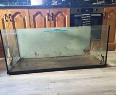 Small Animal/Reptile Tank