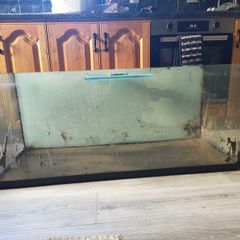 Small Animal/Reptile Tank