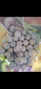 Titleist Mix Golf Balls