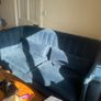 SOFA - Free to take Image 3