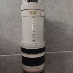 Canon EF 100-400mm L IS USM lens