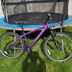 mountain bike