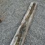 Free Railway Sleepers for firewood Image 3